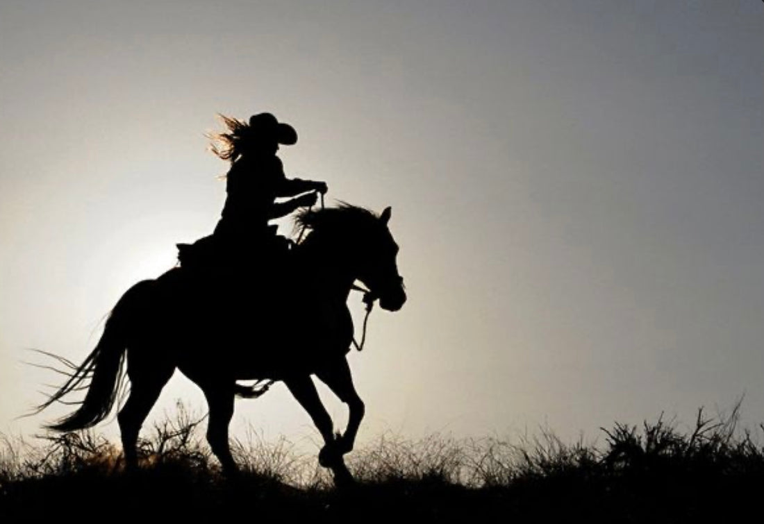 EIPH in horses