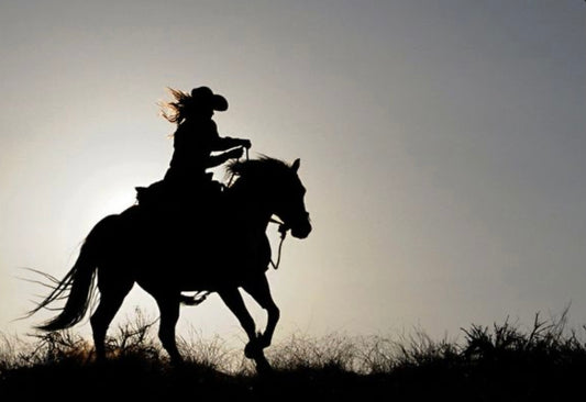 EIPH in horses