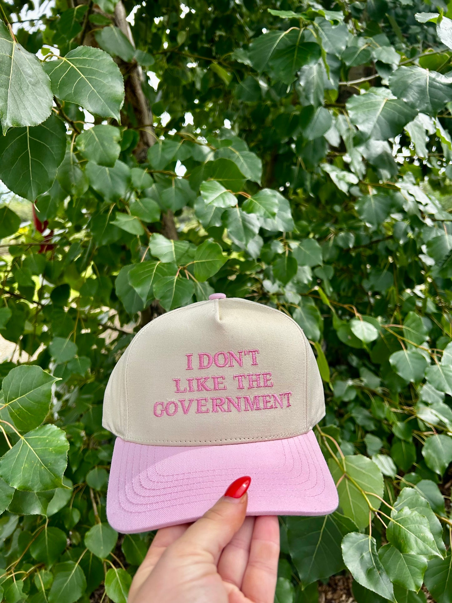 "I don’t like the government" Hats