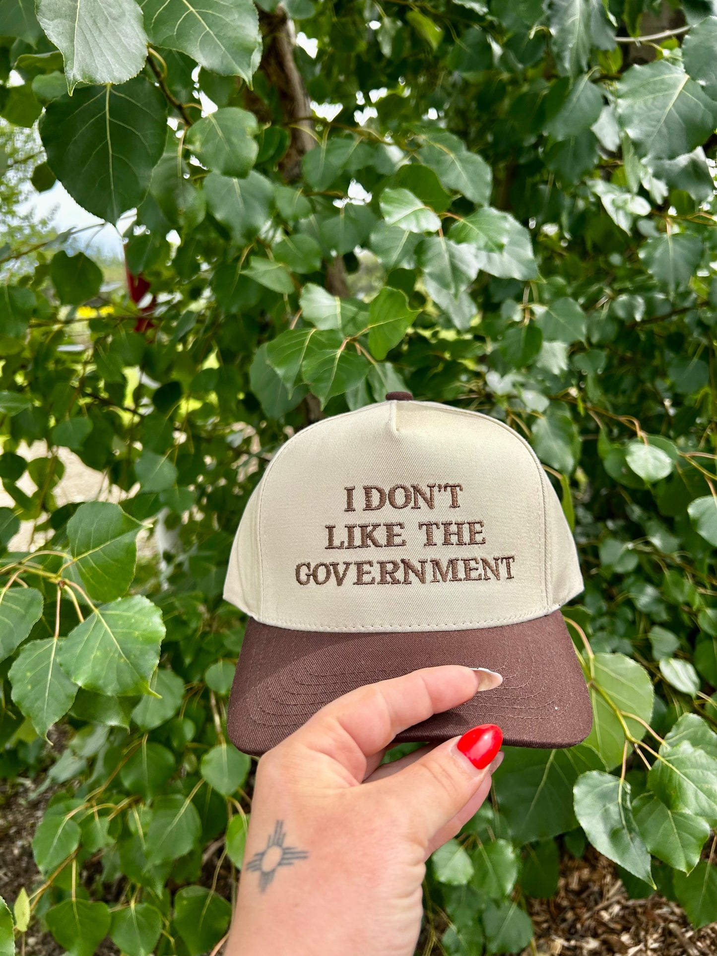 "I don’t like the government" Hats