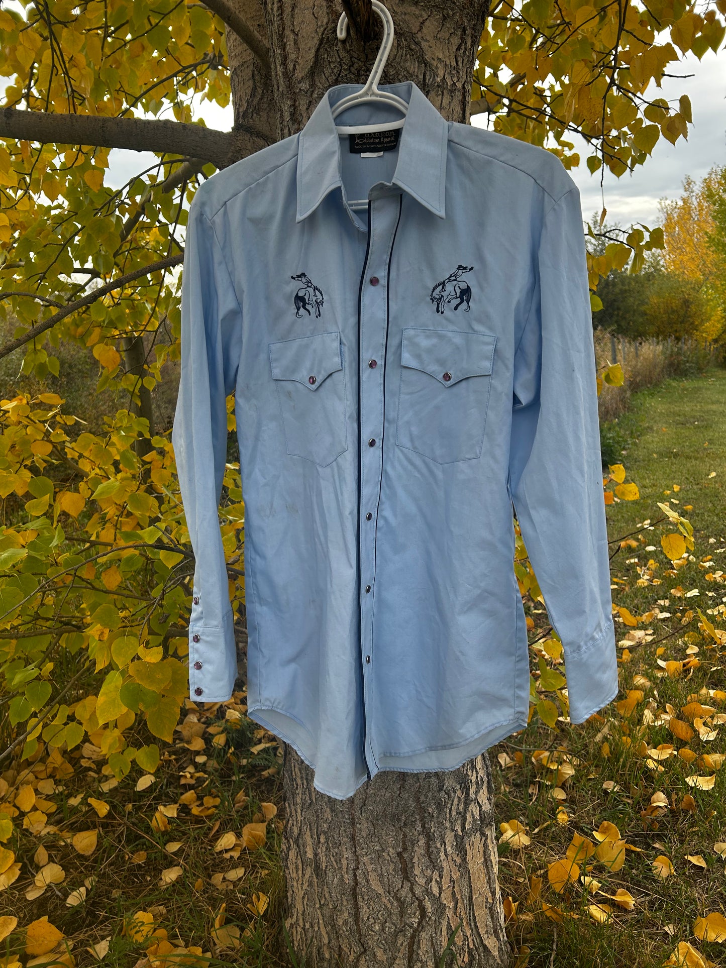 Vintage Button Up