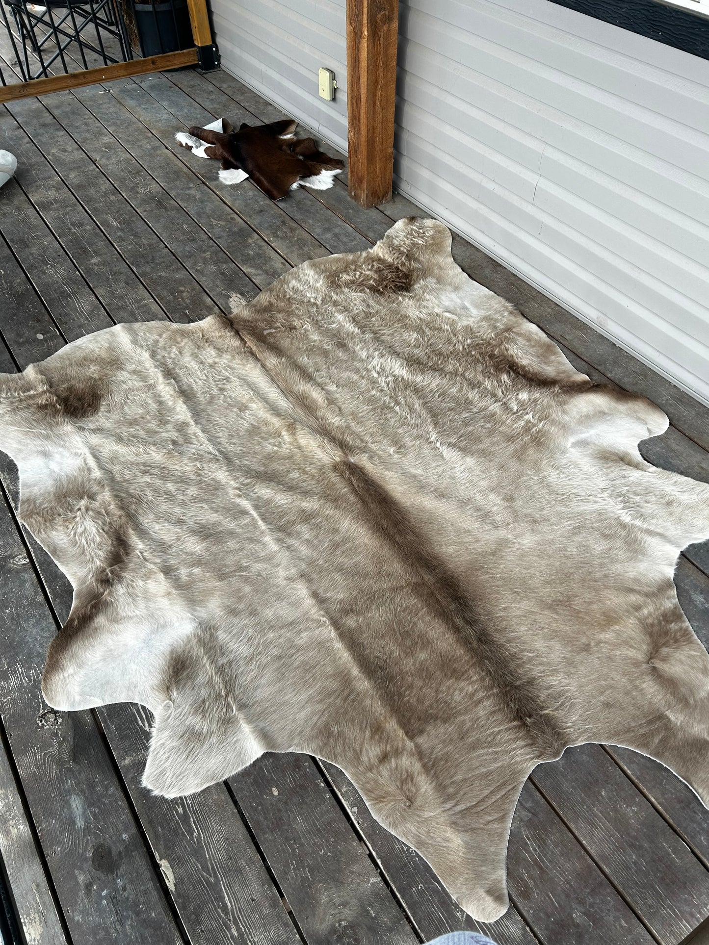 Large Brazilian Hide