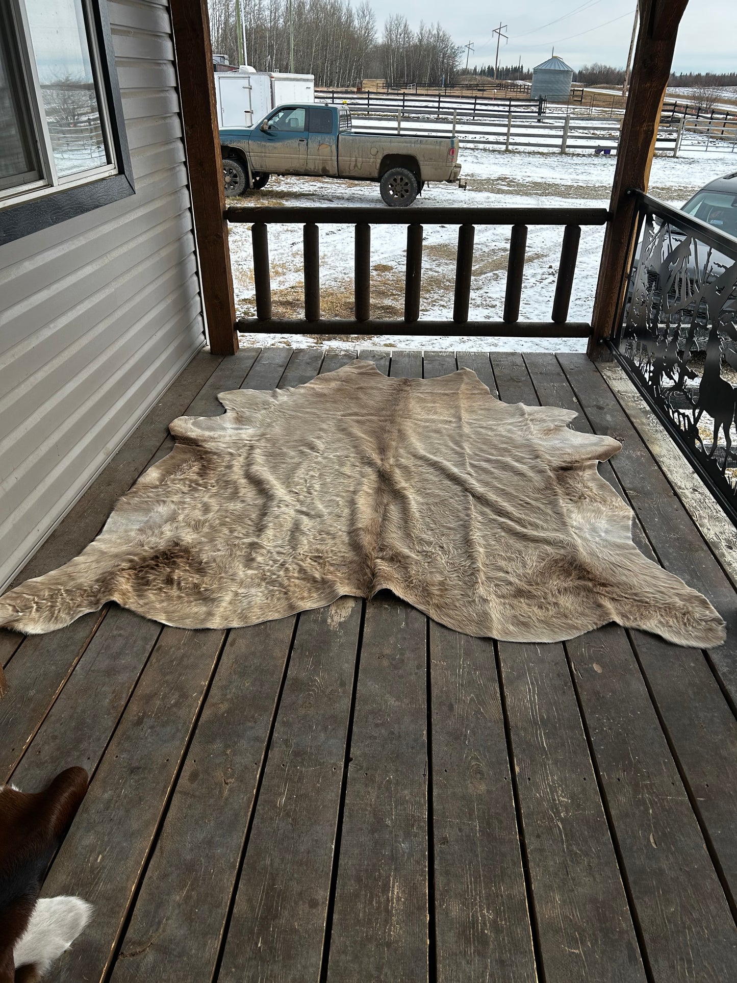 Large Brazilian Hide