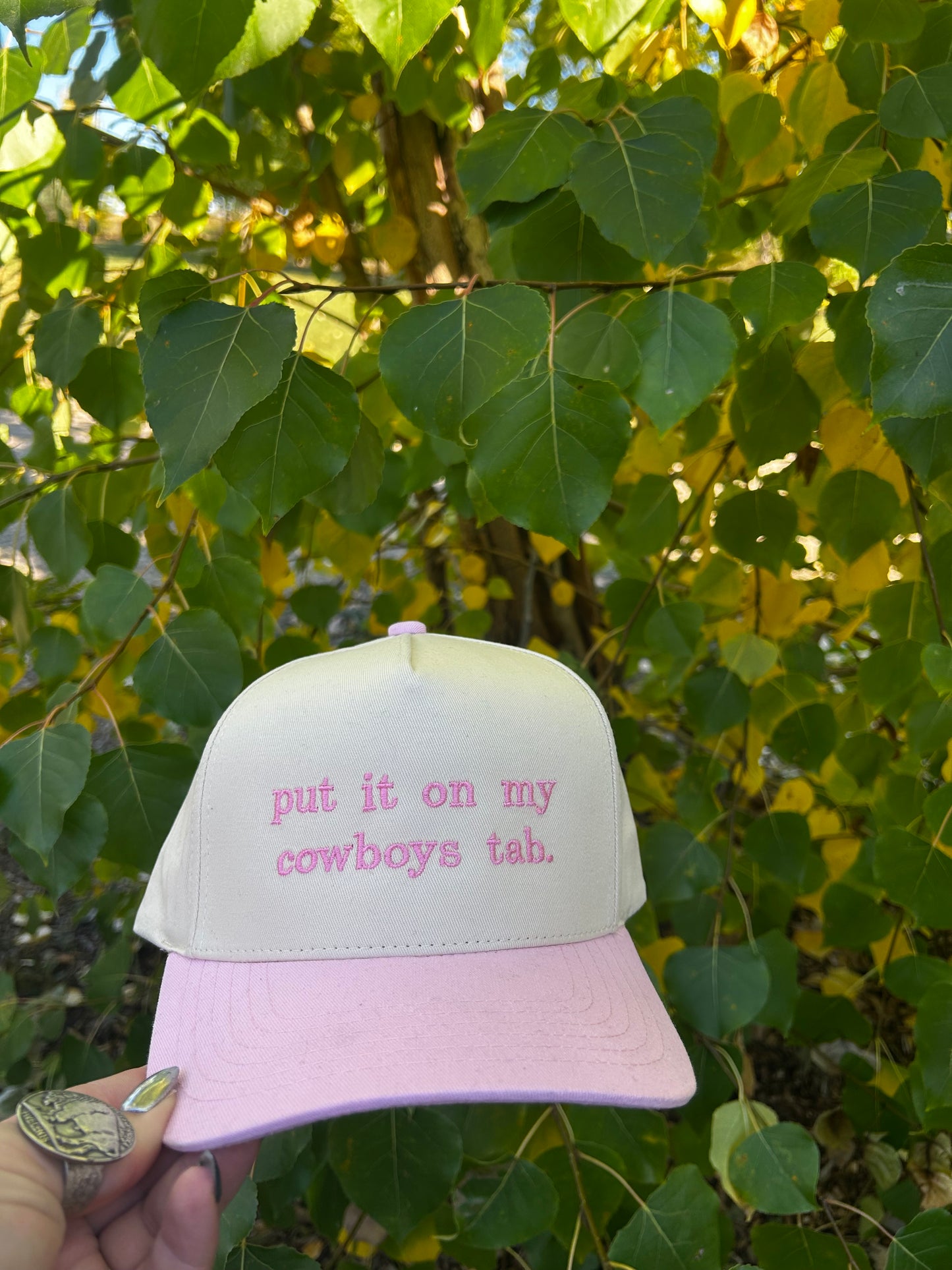 Put It On My Cowboys Tab