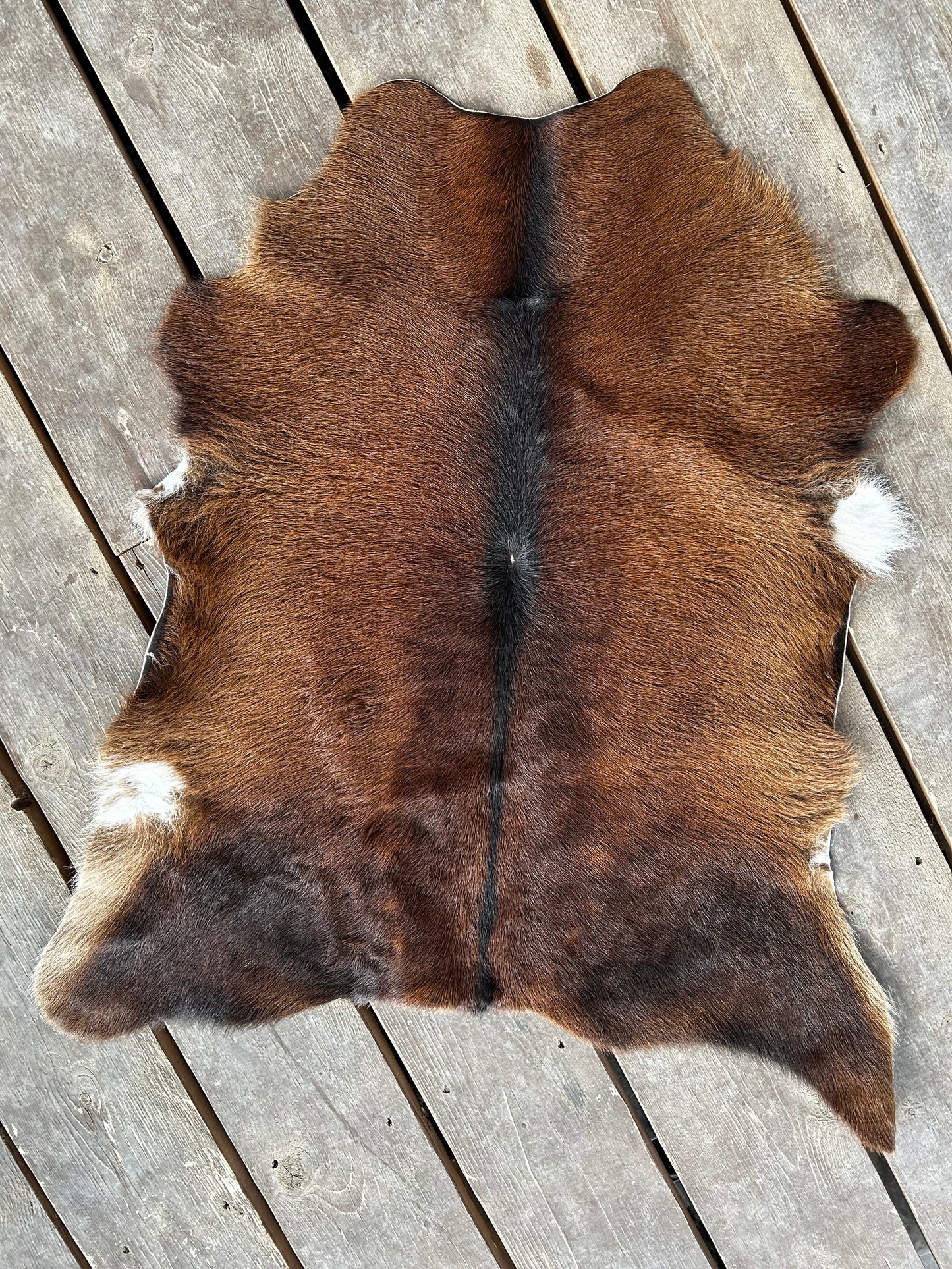 Brazilian Cowhide