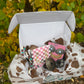 Western Mystery Boxes