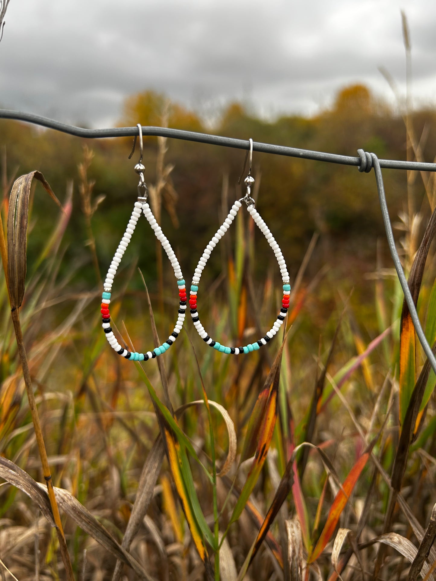 Arizona Teardrop Earrings