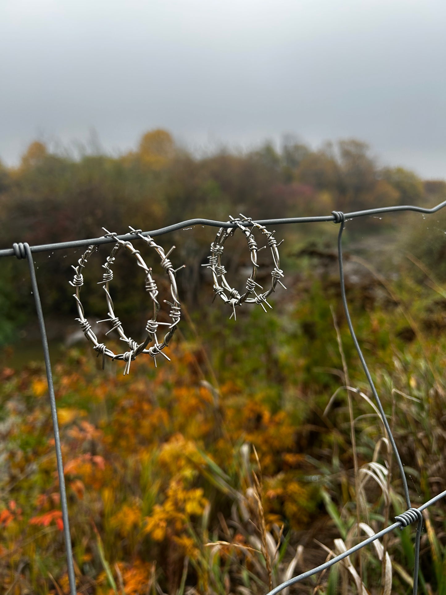 Silver Barbwire Hoops